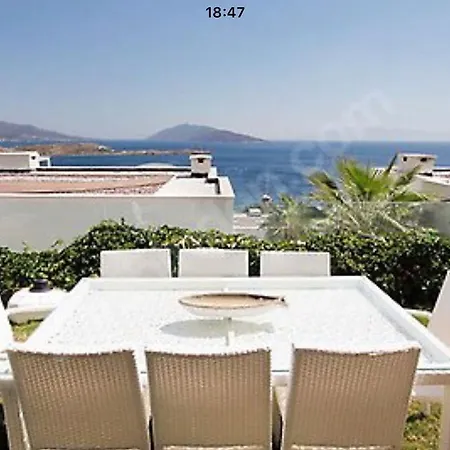 Villa Oasis